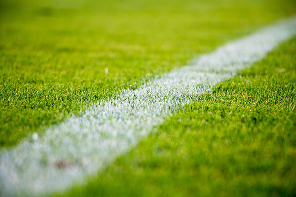 soccerfield